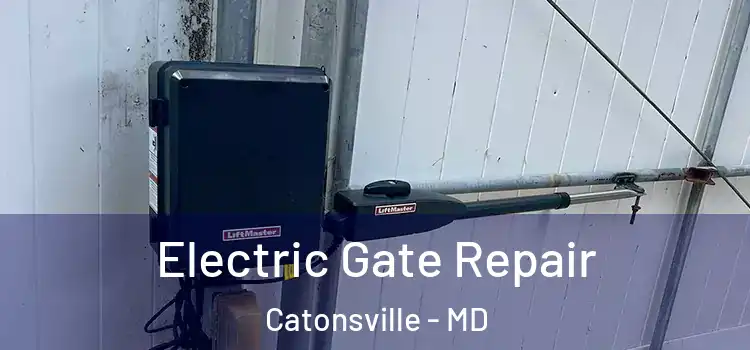 Electric Gate Repair Catonsville - MD