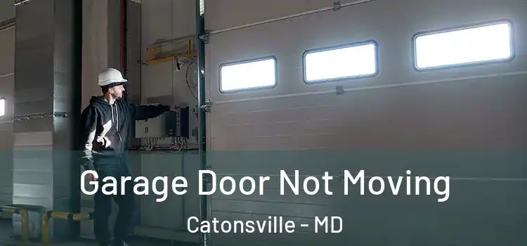 Garage Door Not Moving Catonsville - MD
