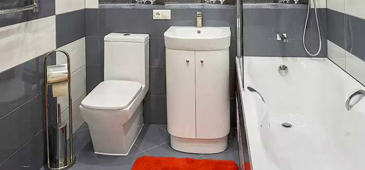 Hansgrohe Shaving Mirror Catonsville